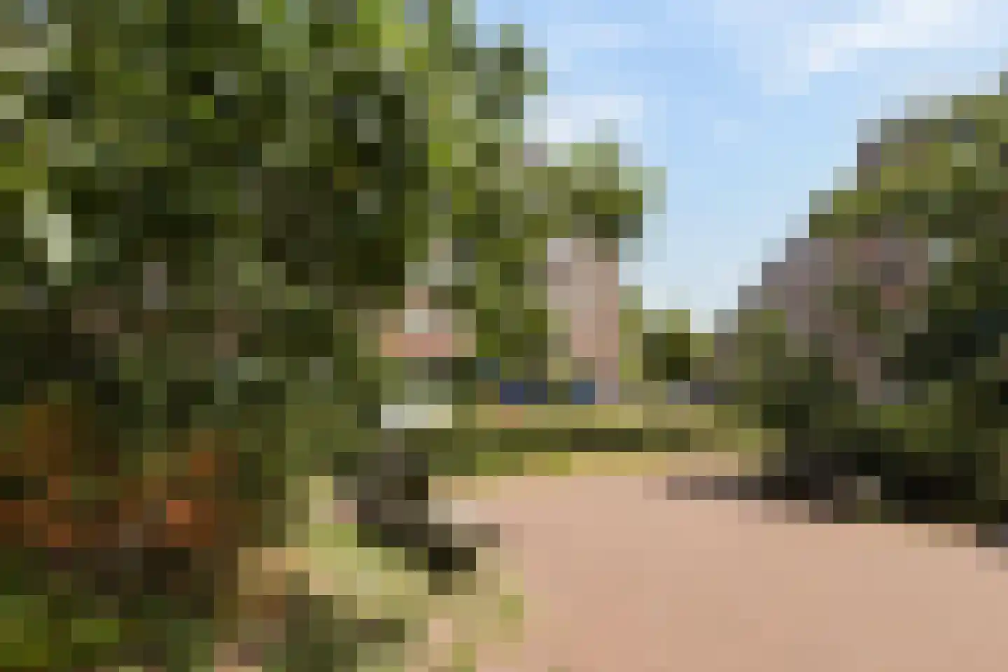 Sumatrastraat 37 1 Amsterdam thumbnail 18