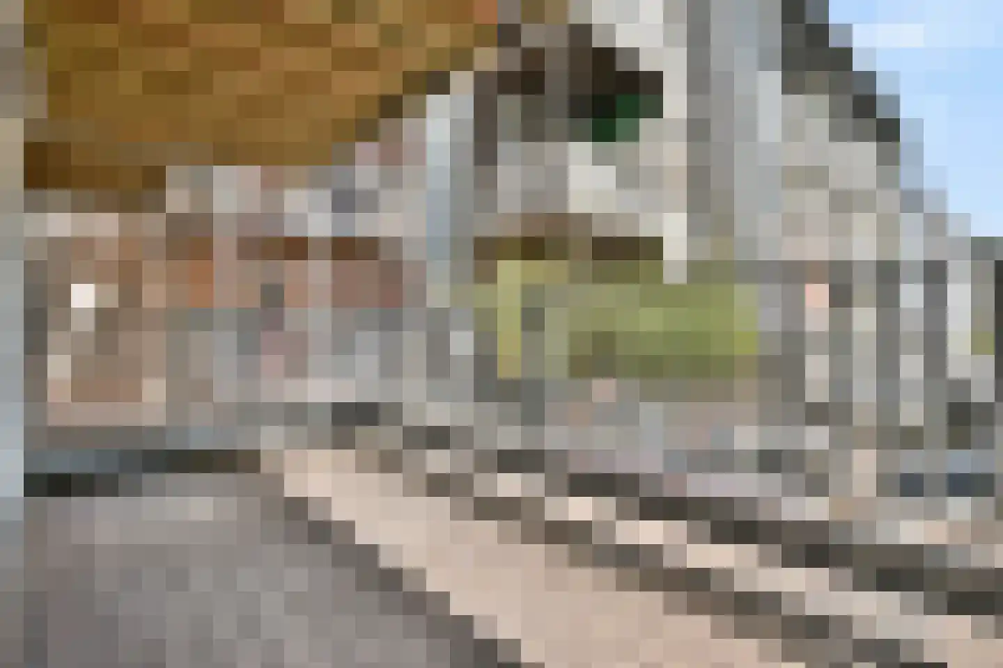 Sumatrastraat 37 1 Amsterdam thumbnail 8