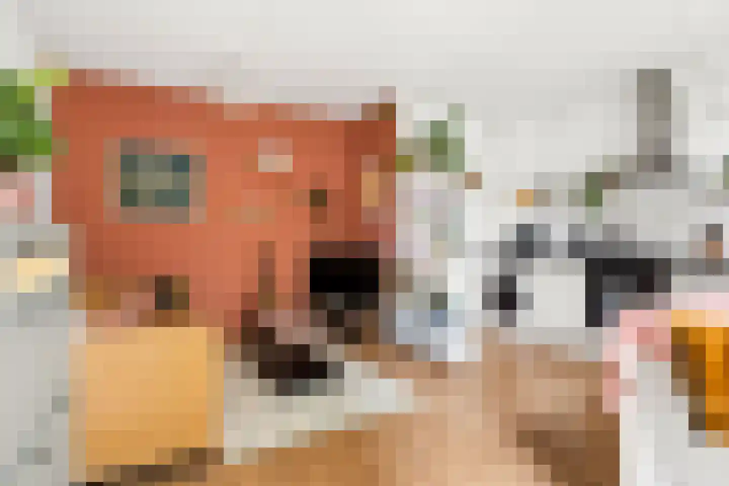 Sumatrastraat 4 A Utrecht thumbnail 10