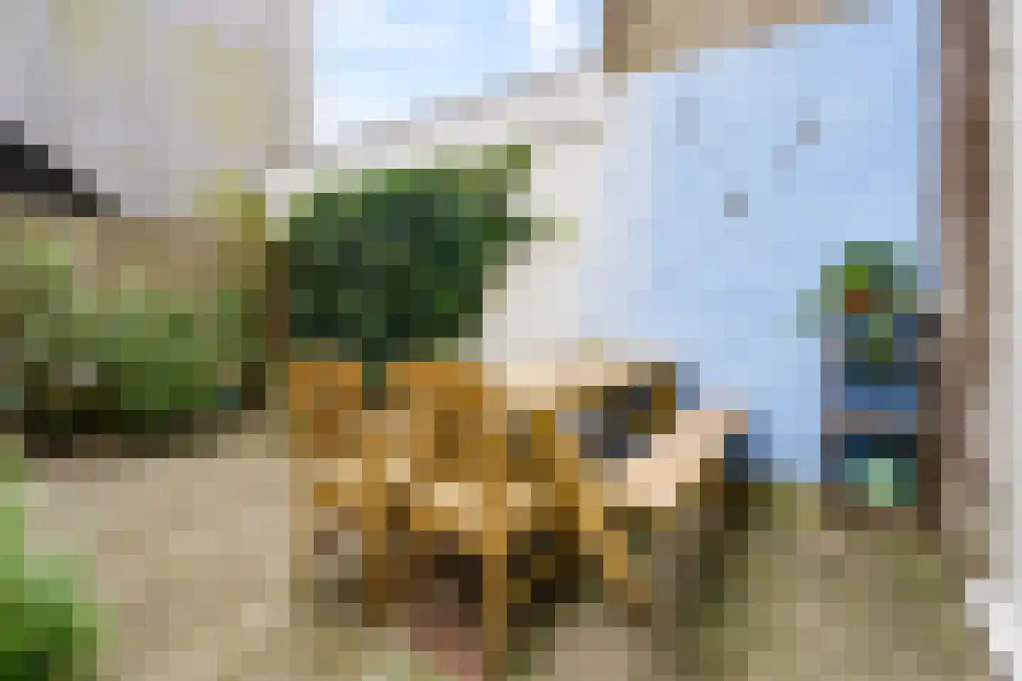 Sumatrastraat 4 A Utrecht thumbnail 4
