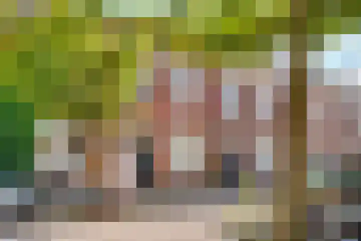 Sumatrastraat 4 BS Utrecht thumbnail 7