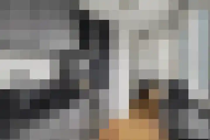 Sumatrastraat 4 Oegstgeest thumbnail 23