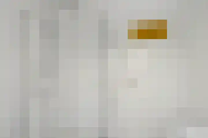 Sumatrastraat 4 Oegstgeest thumbnail 33