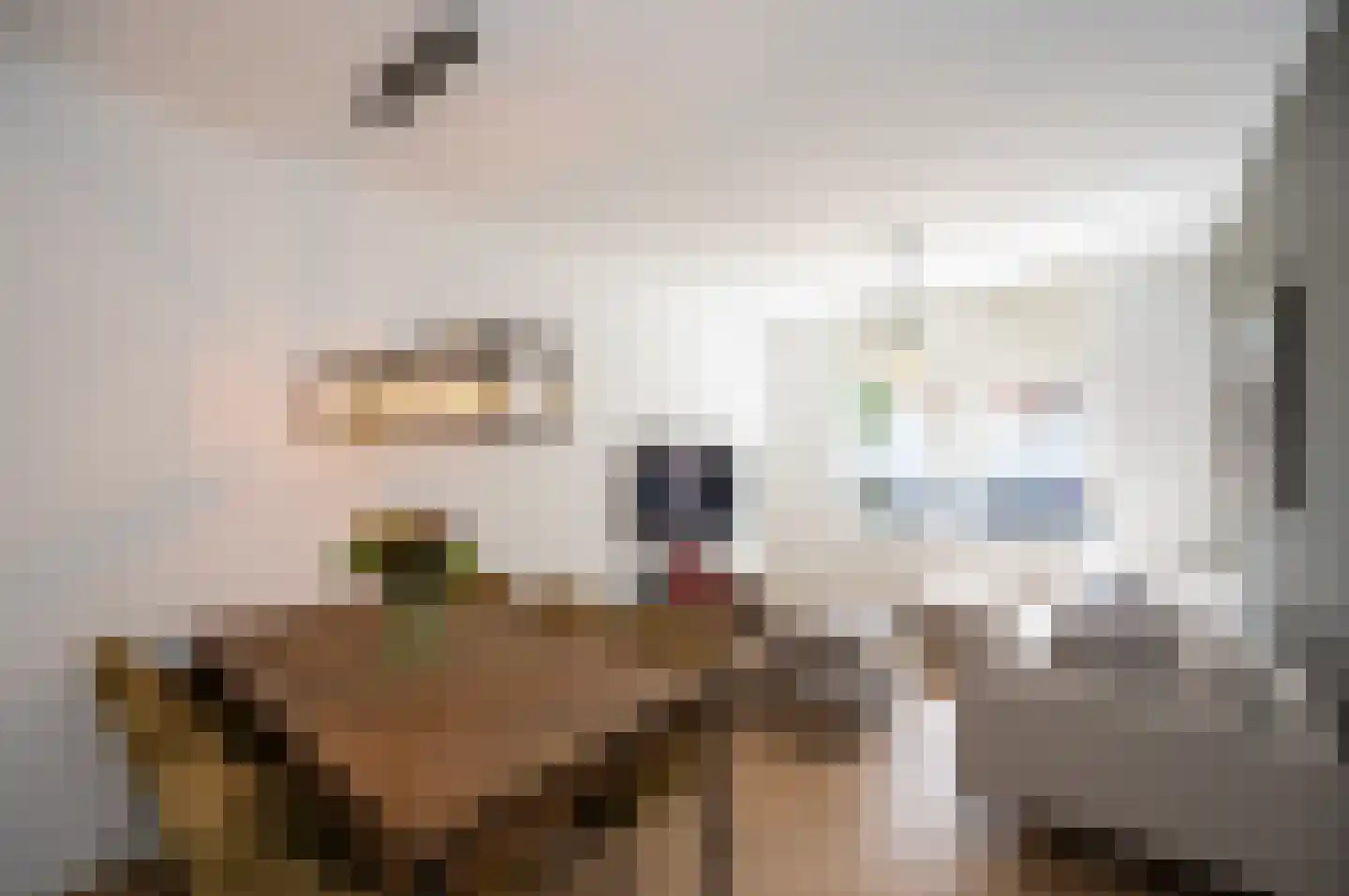 Sumatrastraat 4 Utrecht thumbnail 19