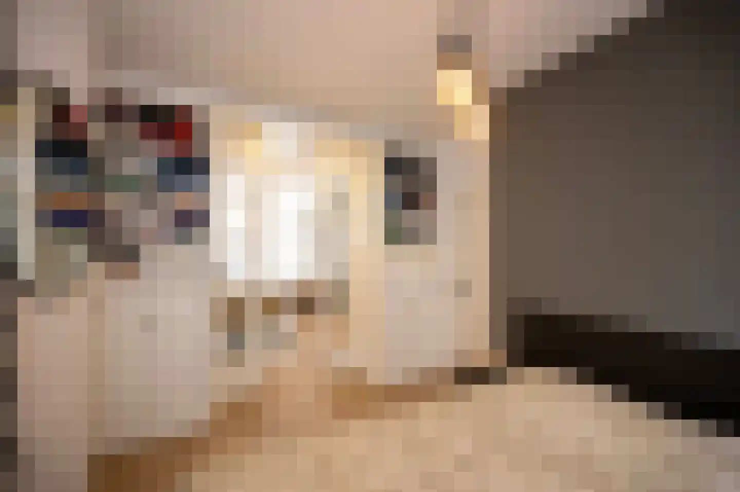 Sumatrastraat 4 Utrecht thumbnail 23