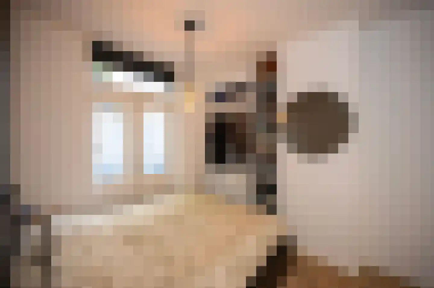 Sumatrastraat 4 Utrecht thumbnail 25