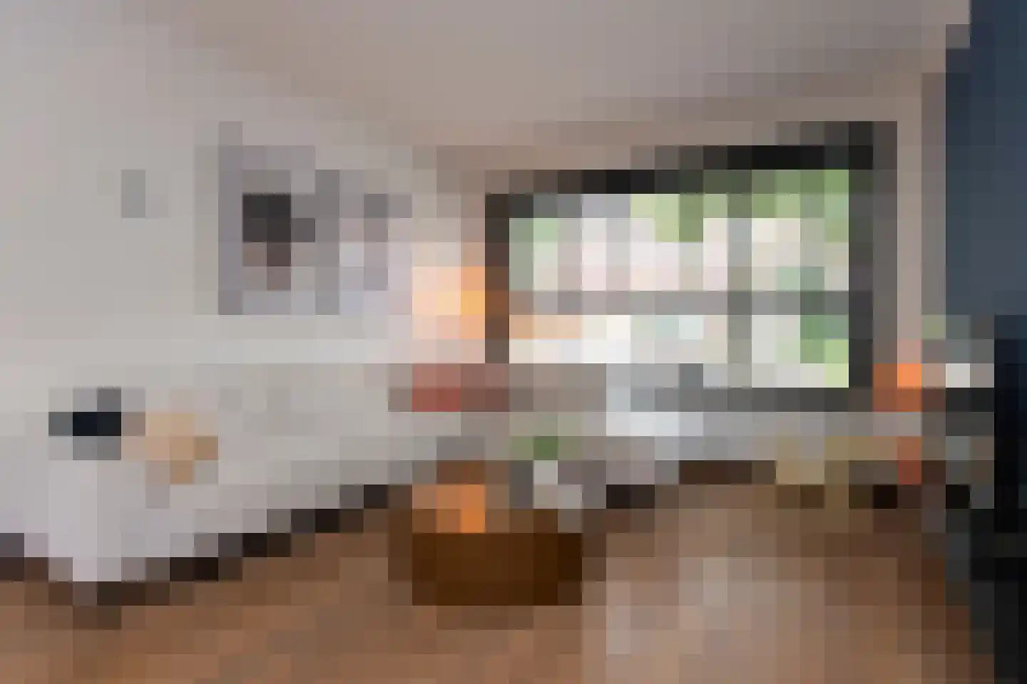 Sumatrastraat 40 Tilburg thumbnail 13