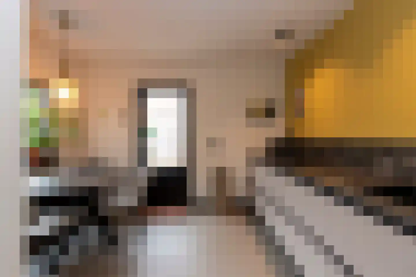 Sumatrastraat 40 Tilburg thumbnail 18