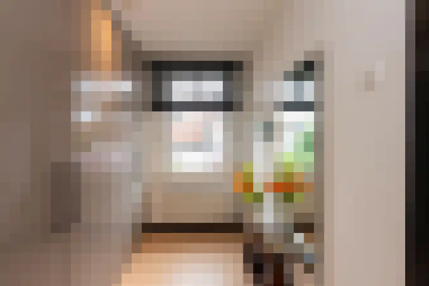 Sumatrastraat 40 Tilburg thumbnail 27
