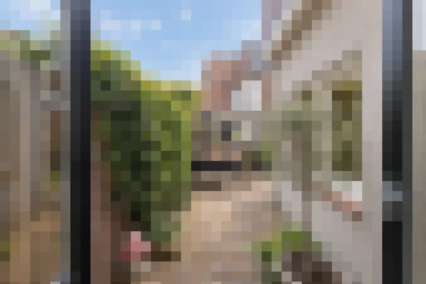 Sumatrastraat 40 Tilburg thumbnail 41