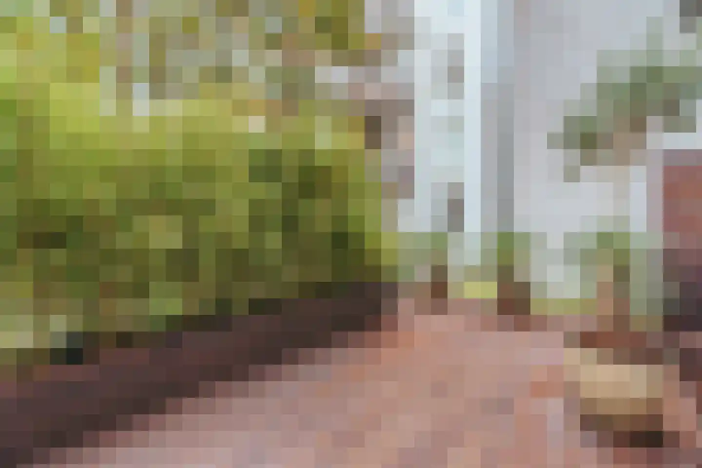 Sumatrastraat 41 B Amsterdam thumbnail 13