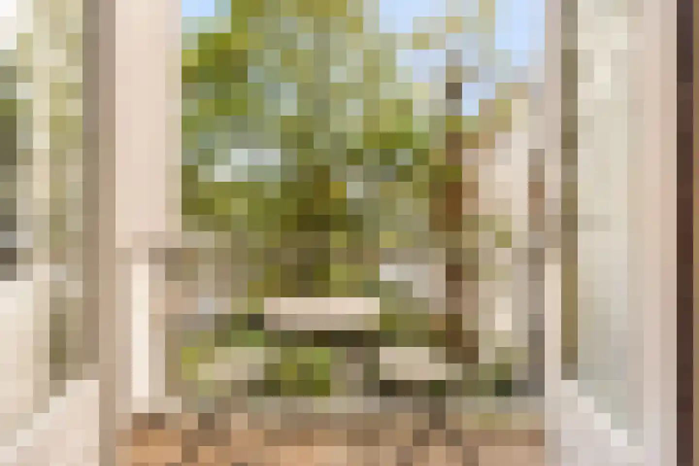 Sumatrastraat 41 B Amsterdam thumbnail 25