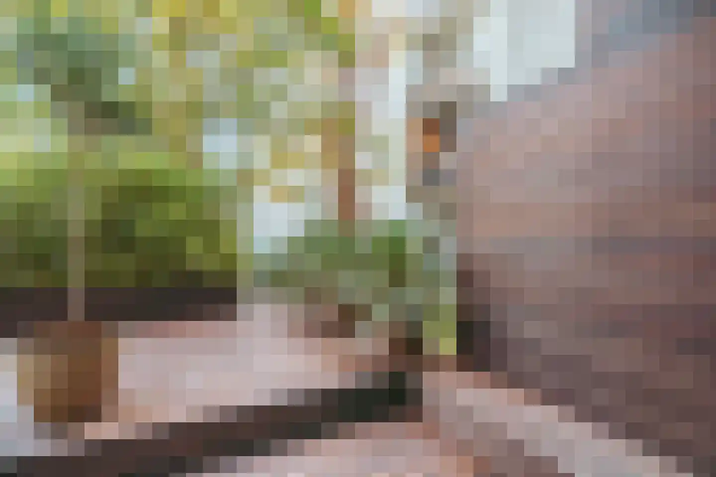 Sumatrastraat 41 B Amsterdam thumbnail 4