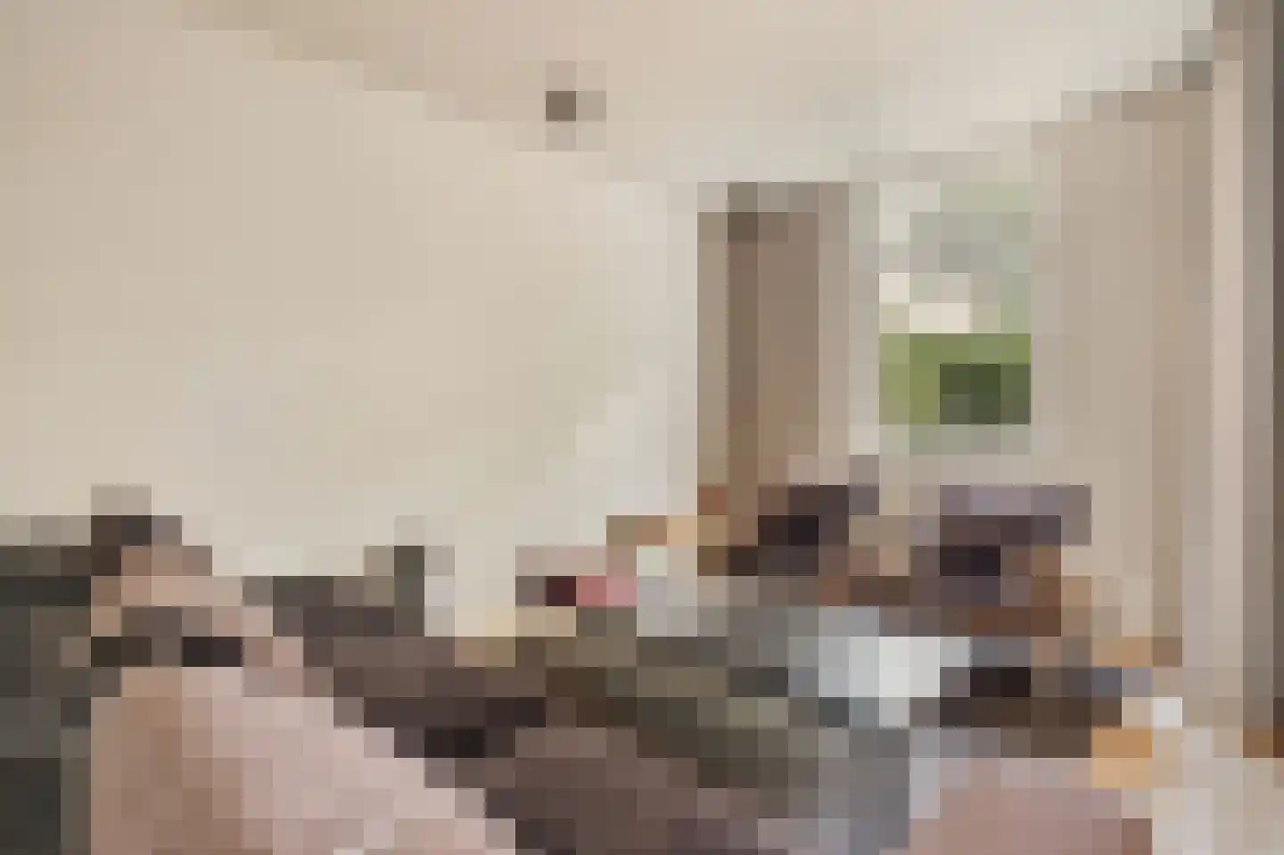 Sumatrastraat 41 B Amsterdam thumbnail 7