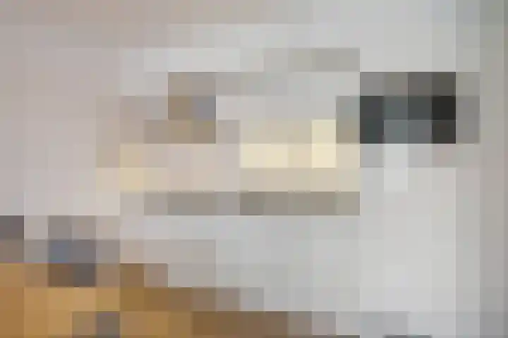 Sumatrastraat 41 B Den Haag thumbnail 14