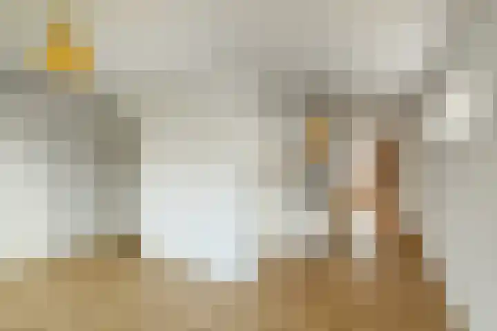 Sumatrastraat 47 Arnhem thumbnail 9