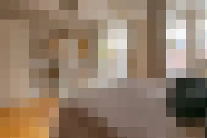 Sumatrastraat 47 Den Haag thumbnail 32