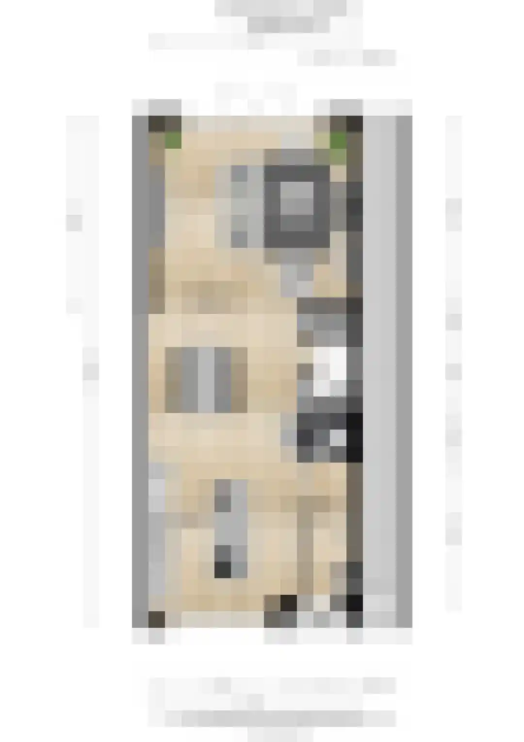 Sumatrastraat 47 Tilburg thumbnail 52