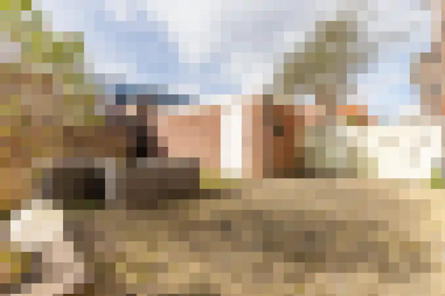 Sumatrastraat 48 Leiden thumbnail 15