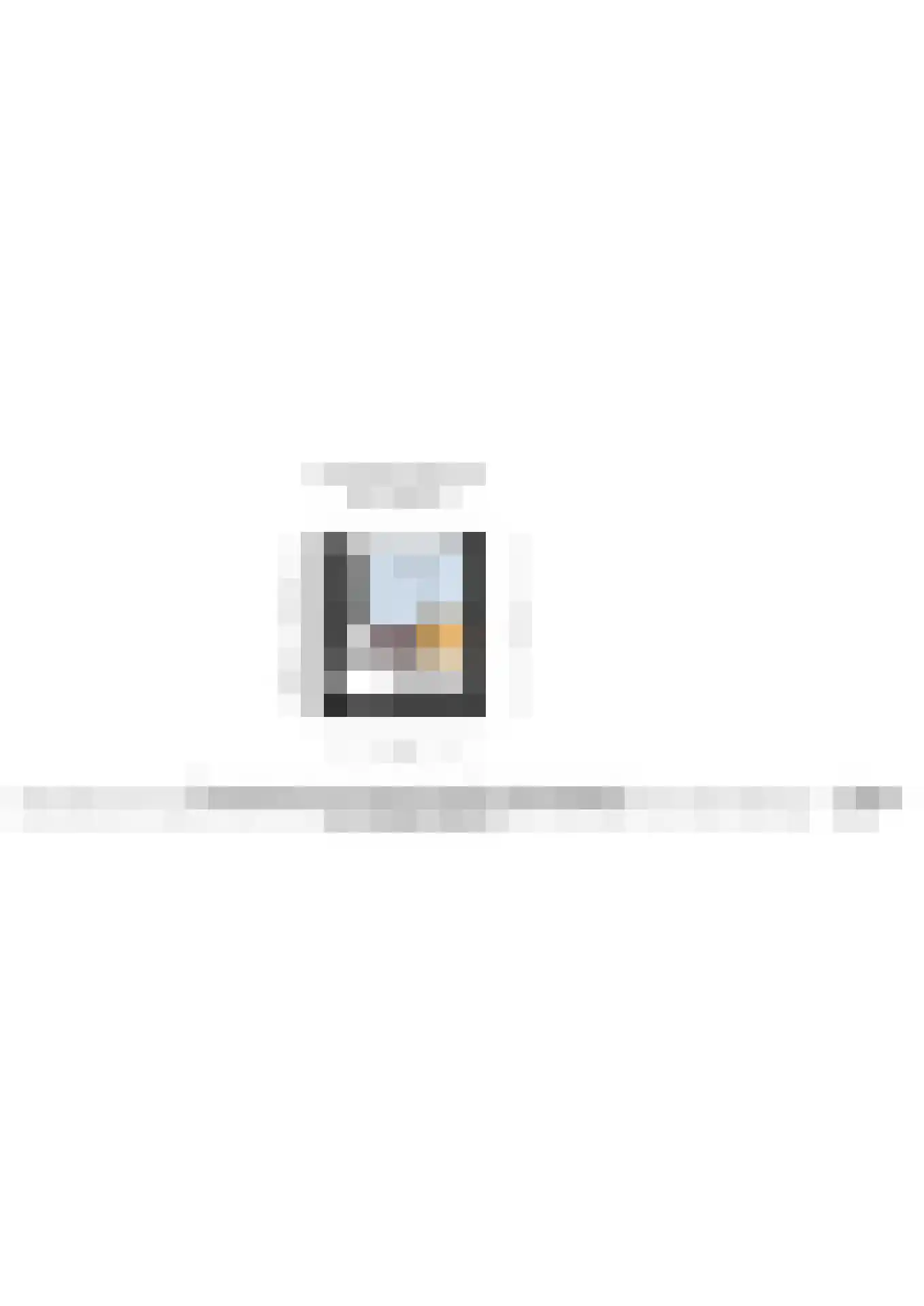 Sumatrastraat 48 Leiden thumbnail 32