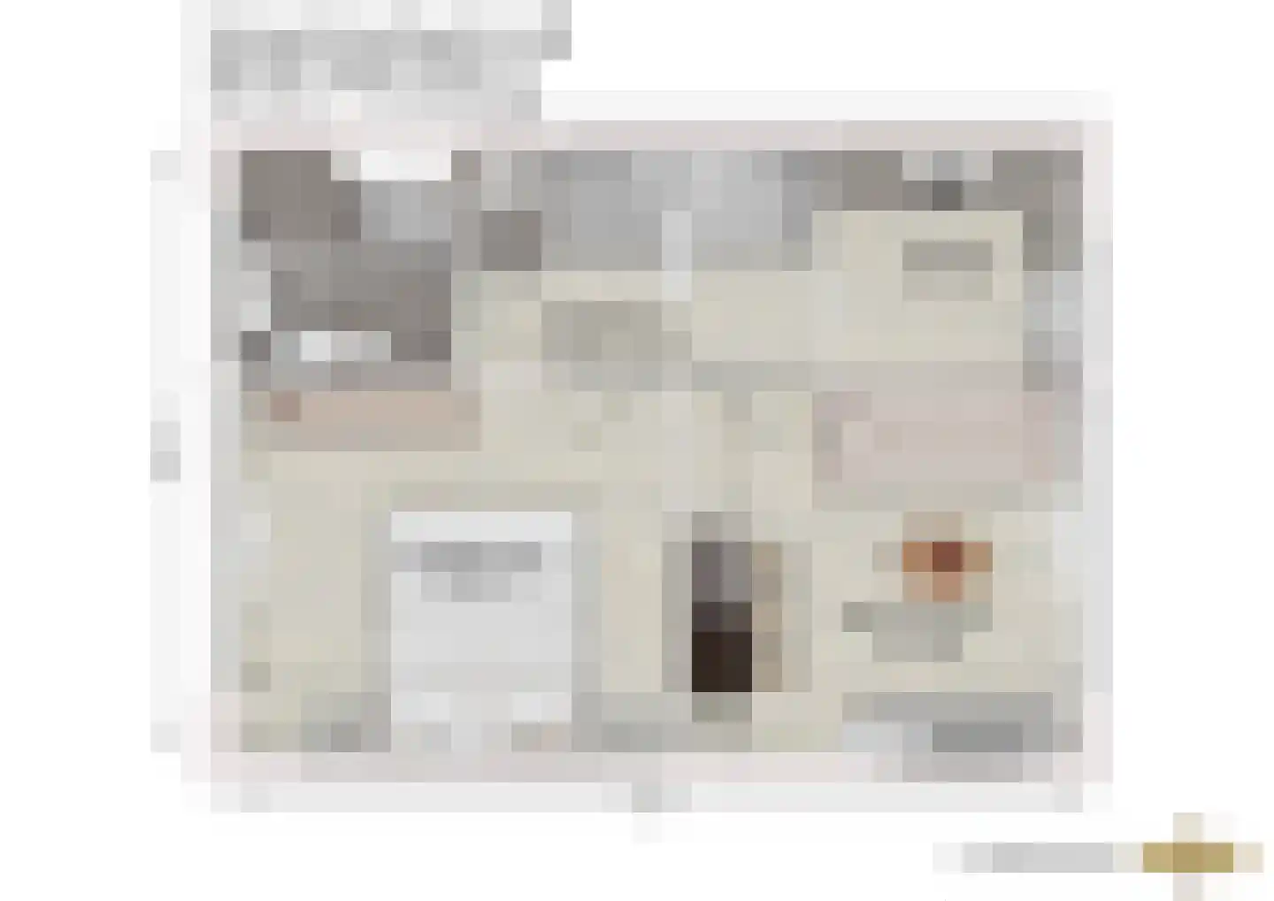 Sumatrastraat 52 B Leiden thumbnail 32