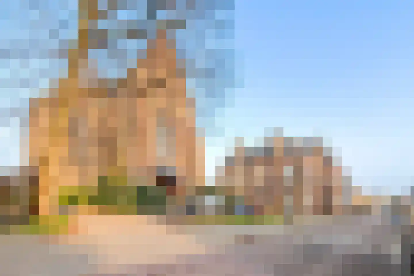 Sumatrastraat 59 Arnhem thumbnail 20