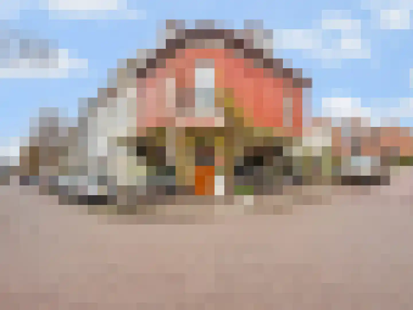 Sumatrastraat 59 Arnhem thumbnail 24