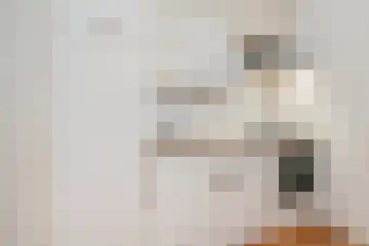 Sumatrastraat 59 Arnhem thumbnail 7