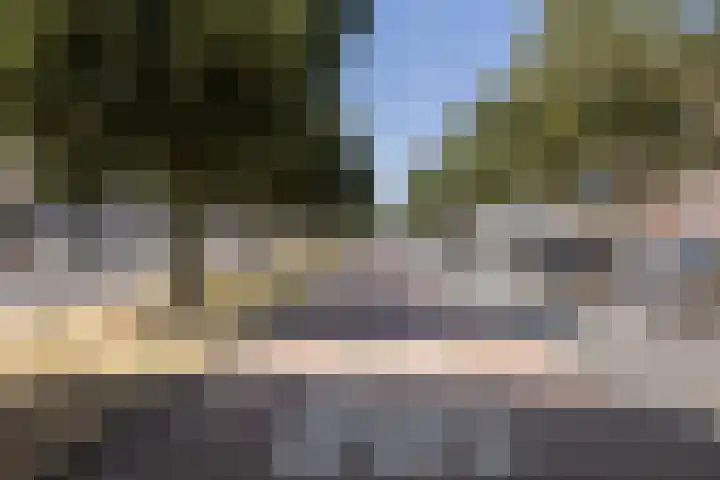 Sumatrastraat 6 Utrecht thumbnail 24