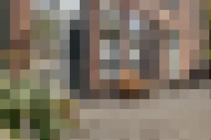 Sumatrastraat 60 Dordrecht thumbnail 9