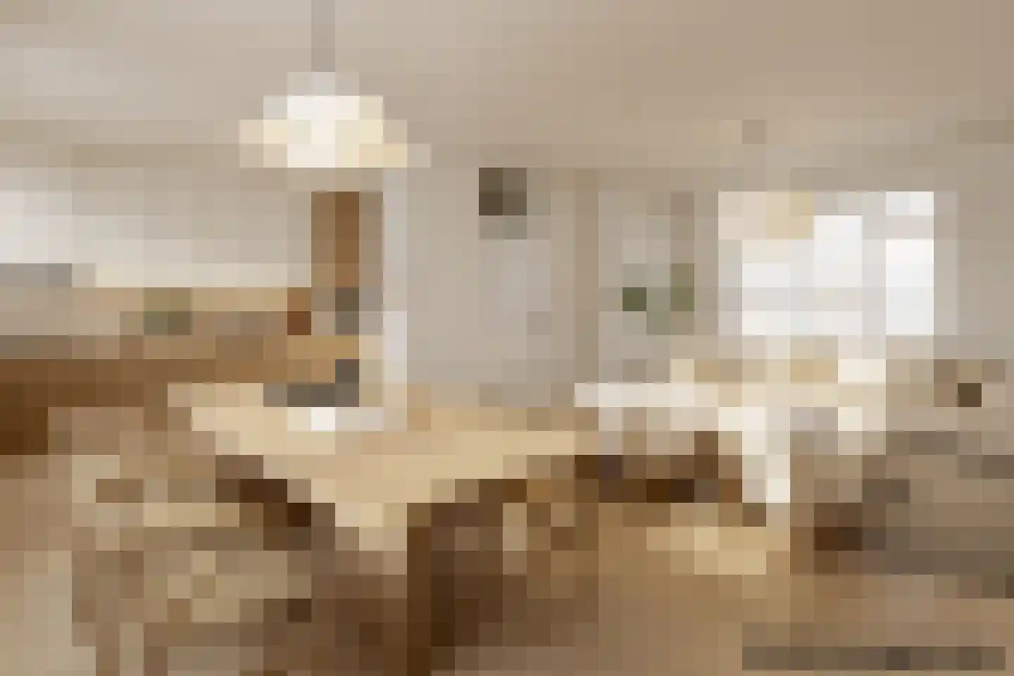 Sumatrastraat 65 Zwolle thumbnail 7