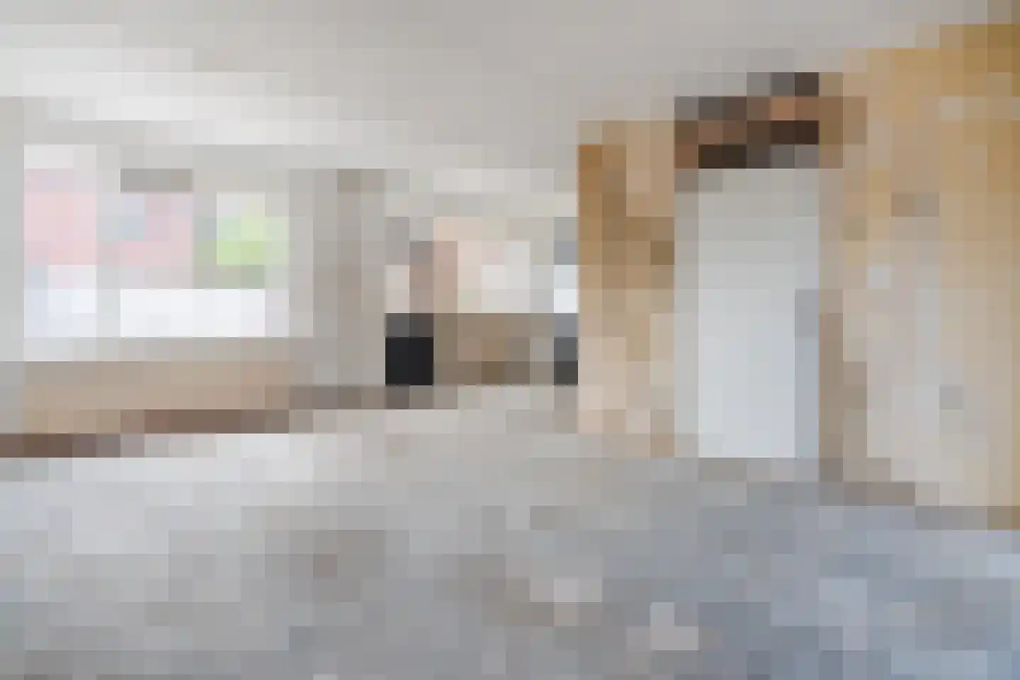 Sumatrastraat 65 Zwolle thumbnail 8