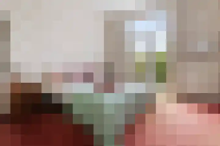 Sumatrastraat 8 Nijmegen thumbnail 15