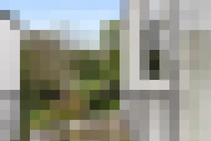 Sumatrastraat 8 Nijmegen thumbnail 18