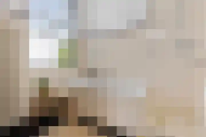 Sumatrastraat 8 Nijmegen thumbnail 24