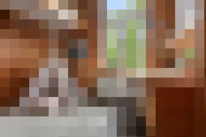 Sumatrastraat 8 Nijmegen thumbnail 27