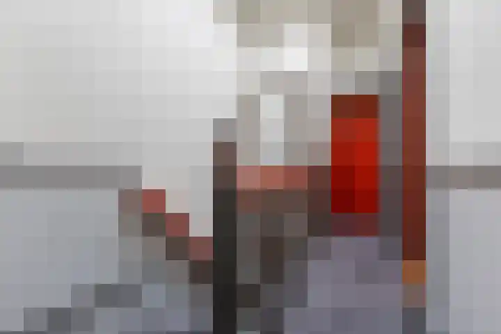 Sumatrastraat 8 Nijmegen thumbnail 29