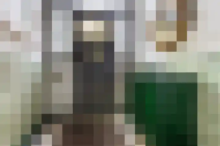 Sumatrastraat 8 Nijmegen thumbnail 30