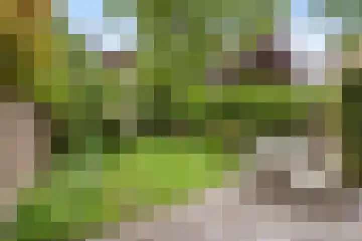 Sumatrastraat 8 Nijmegen thumbnail 38