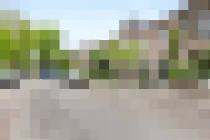 Sumatrastraat 8 Nijmegen thumbnail 40