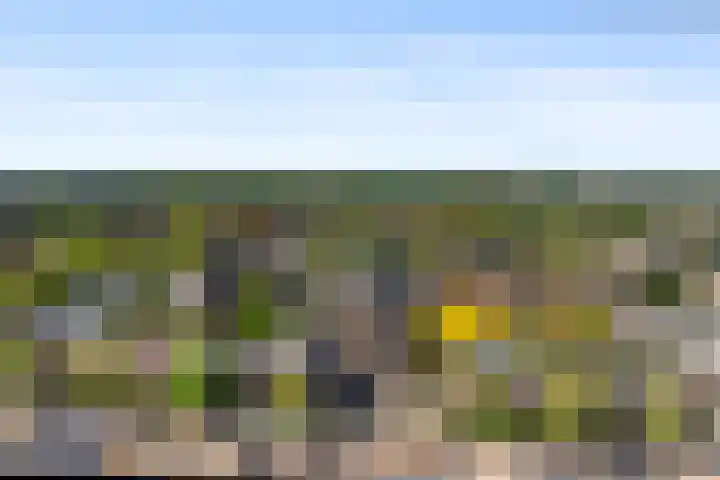 Sumatrastraat 8 Nijmegen thumbnail 42
