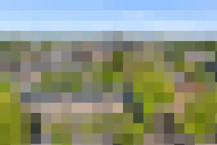 Sumatrastraat 8 Nijmegen thumbnail 43