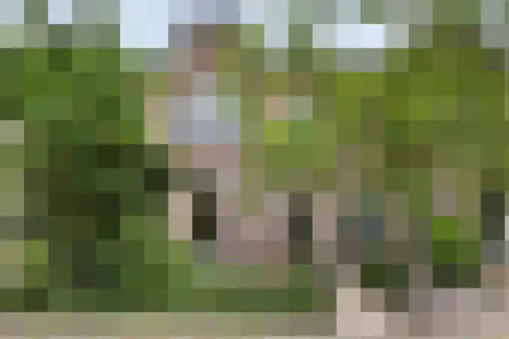 Sumatrastraat 8 Nijmegen thumbnail 48