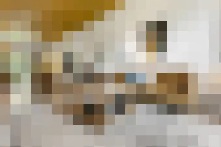 Sumatrastraat 8 Nijmegen thumbnail 5