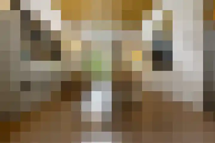 Sumatrastraat 8 Nijmegen thumbnail 6
