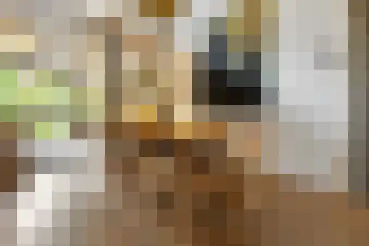 Sumatrastraat 8 Nijmegen thumbnail 7
