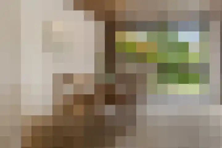 Sumatrastraat 8 Nijmegen thumbnail 8