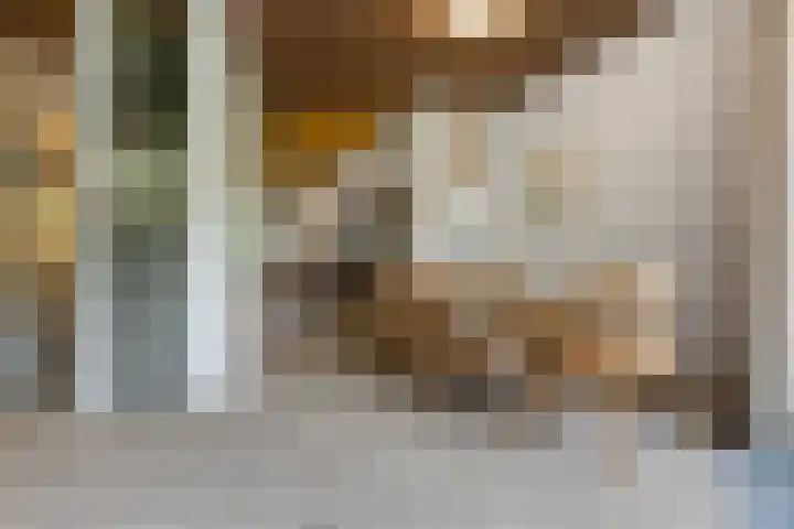 Sumatrastraat 8 Nijmegen thumbnail 9
