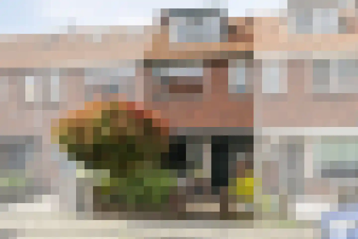 Sumatrastraat 8 Vlaardingen