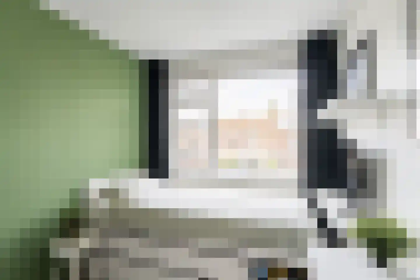 Sumatrastraat 8 Vlaardingen thumbnail 26